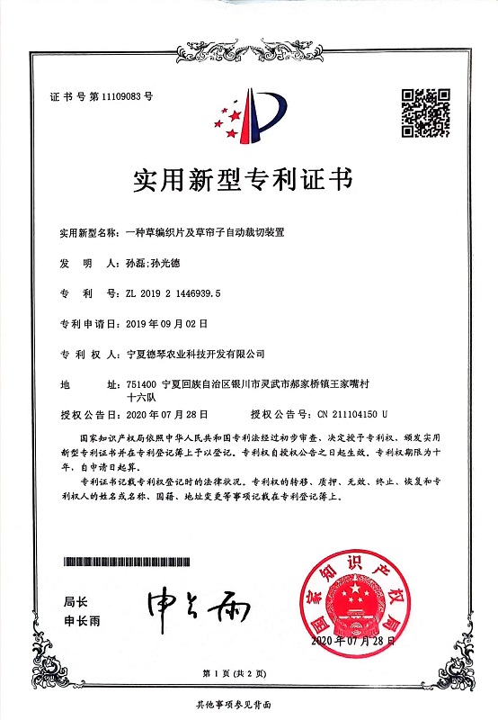 宁夏草莓视频黄片免费下载子