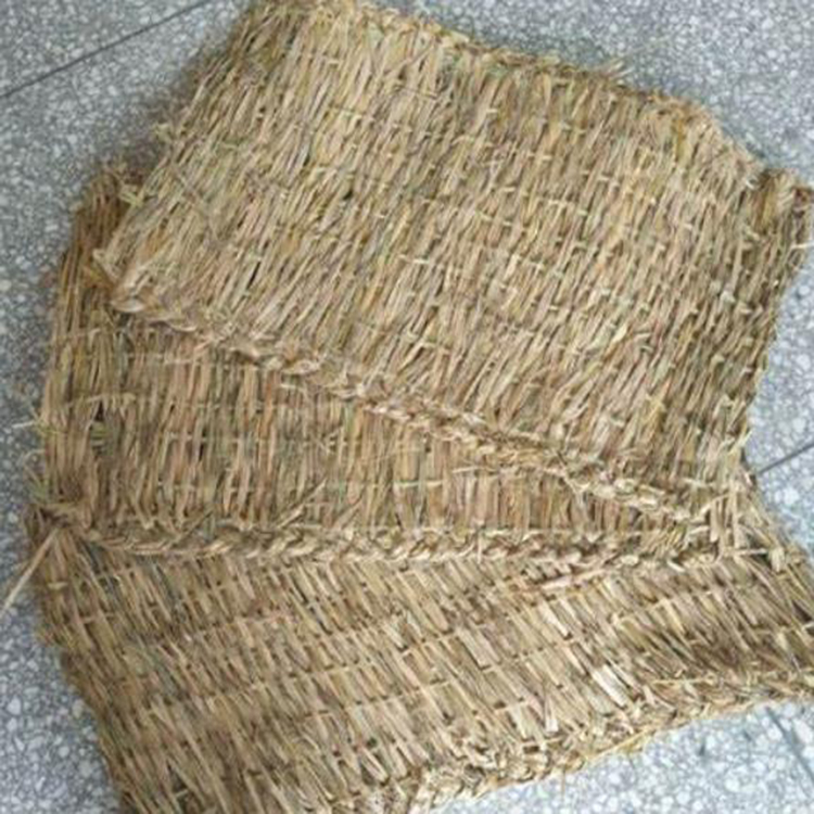宁夏黄色草莓APP下载厂家哪家好